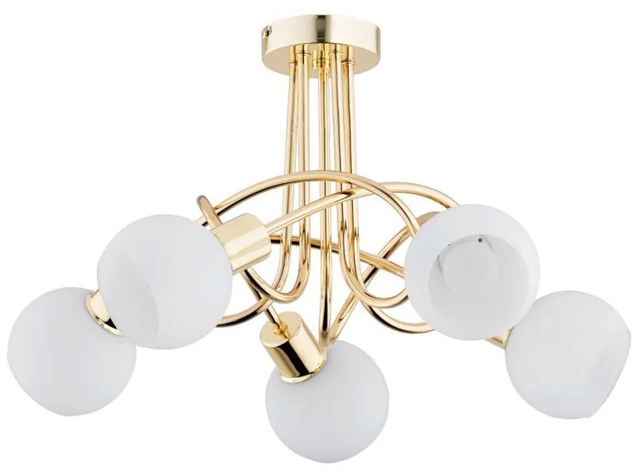 Prisadený luster ERYKA 5xE14/10W/230V zlatá