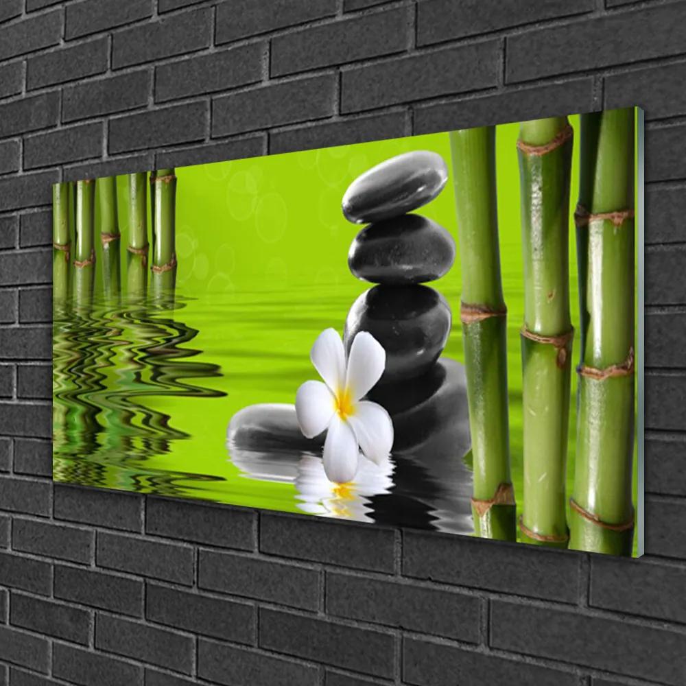 Obraz na skle Bambus kamene rastlina 125x50 cm