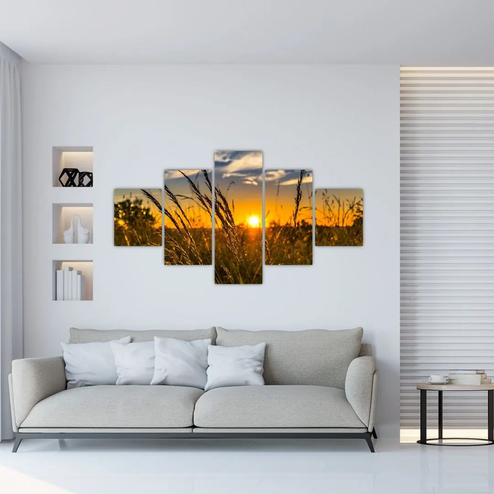 Obraz pole pri západe slnka (125x70 cm), 40 ďalších rozmerov