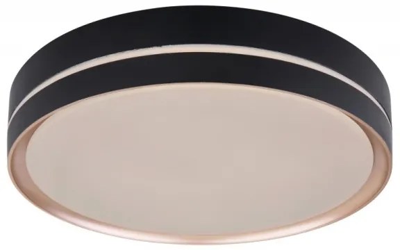 Globo 41759-24 - LED Stmievateľné stropné svietidlo MANNI LED/24W/230V + DO