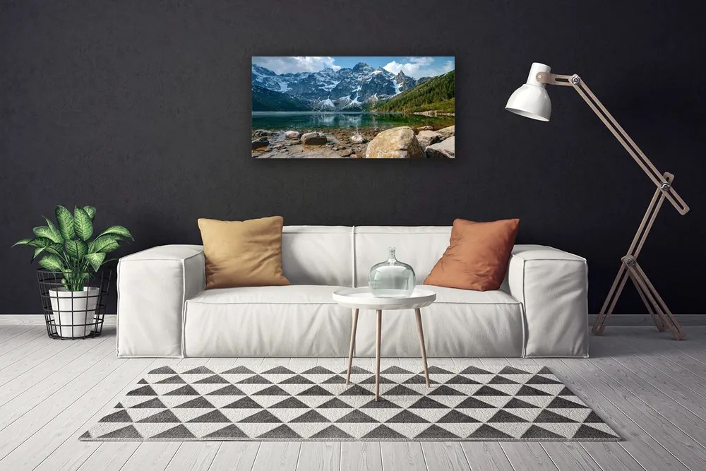 Obraz Canvas Hory les jazero kamene 120x60 cm