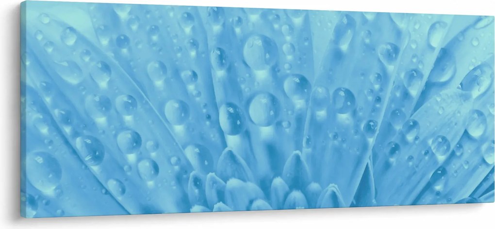 Obraz - Makro záber kvetu (120x50 cm)