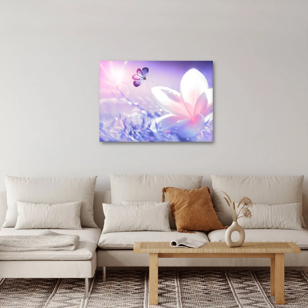 Obraz - Motýľ prilietajúci na kvet (70x50 cm)
