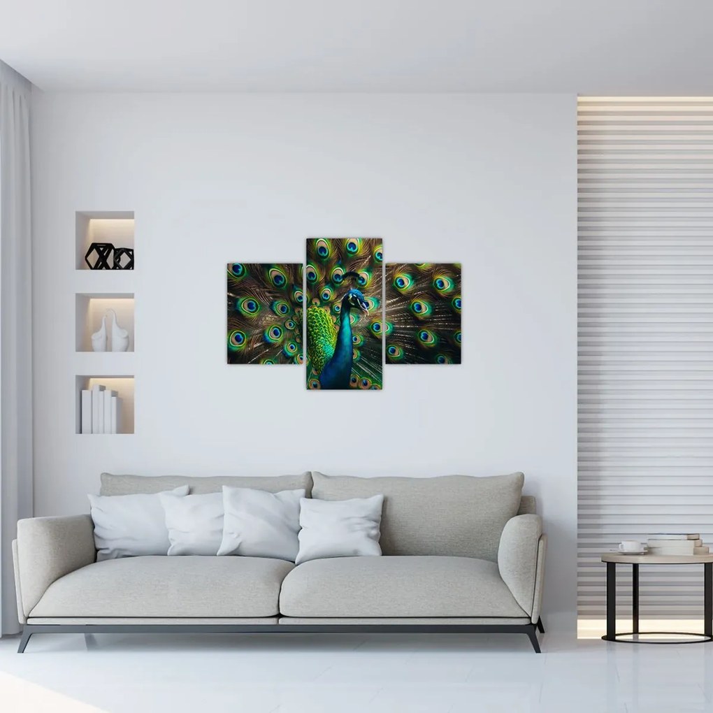 Obraz – Páv (90x60 cm)
