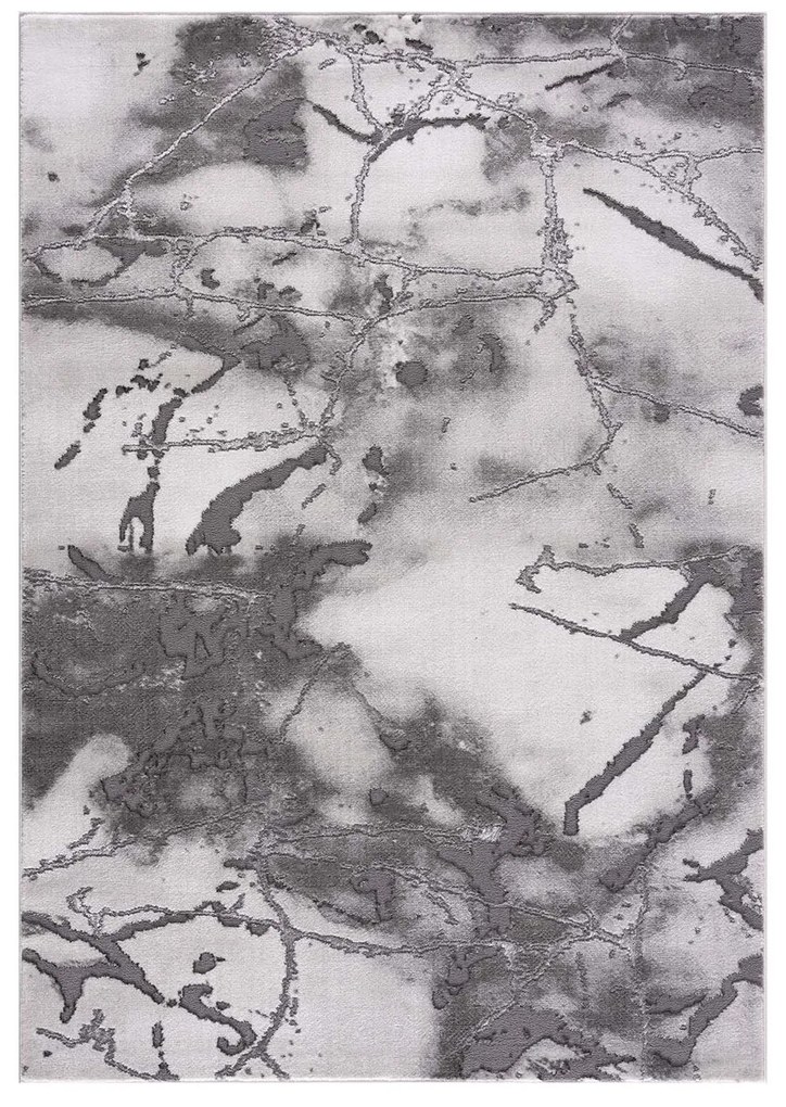 Dekorstudio Moderný koberec CHIC 501 - sivý Rozmer koberca: 120x170cm