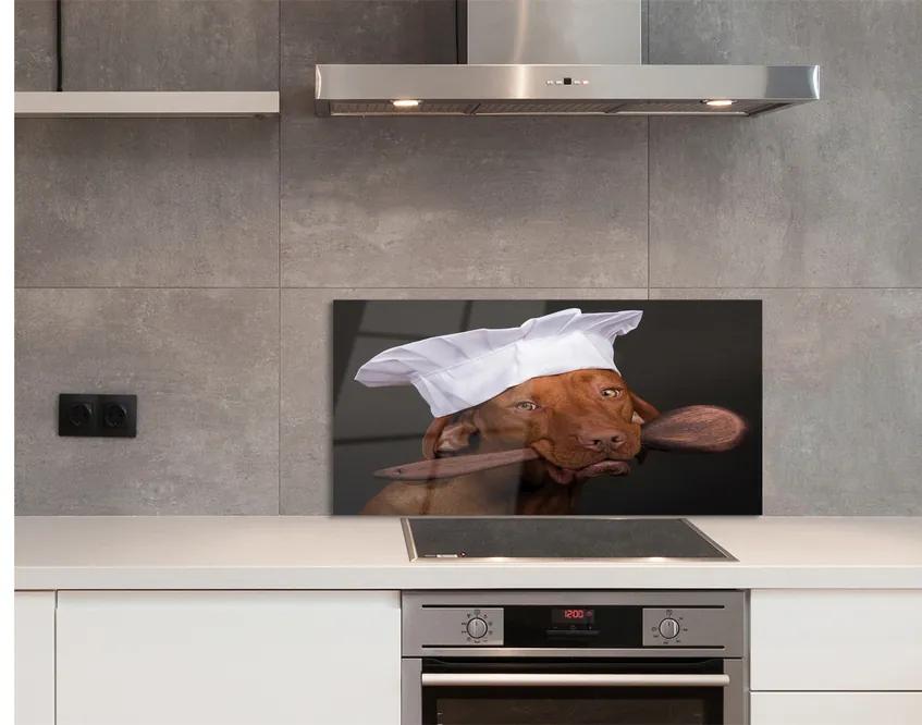 Nástenný panel  dog chef 140x70 cm