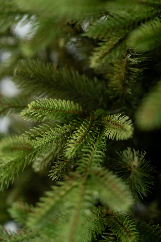 Limpol Vianočný stromček Jedľa Exclusive 210 cm