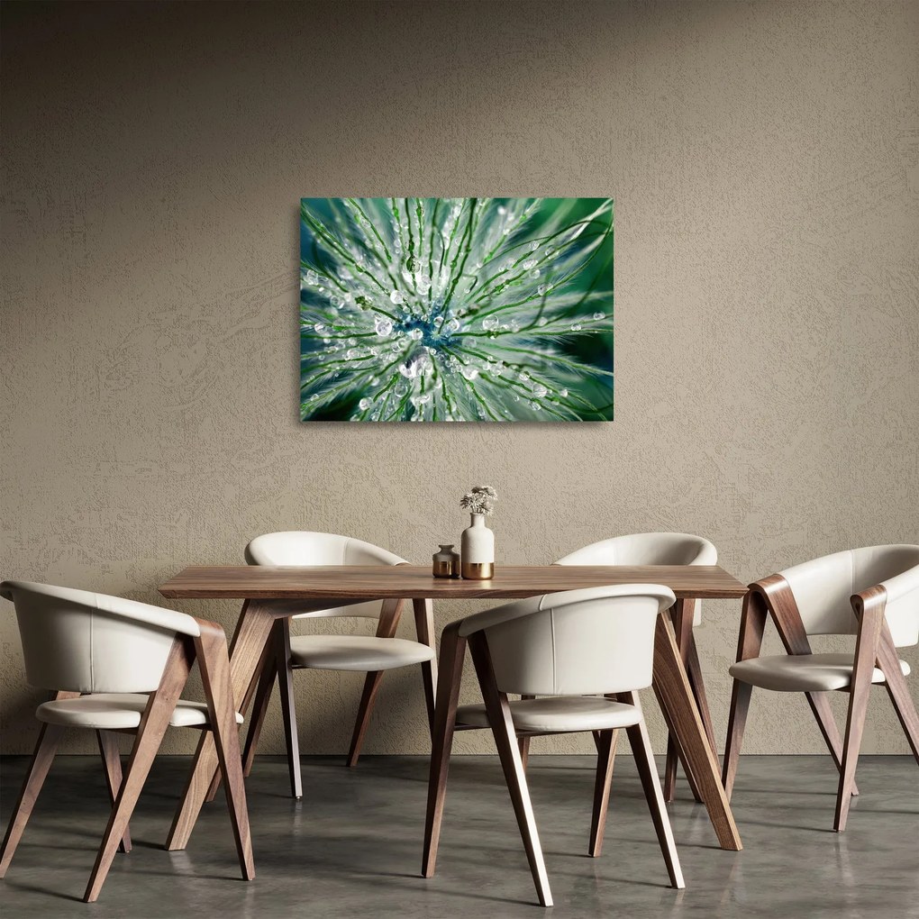 Sklenený obraz - Makro snímka kvetu (70x50 cm)