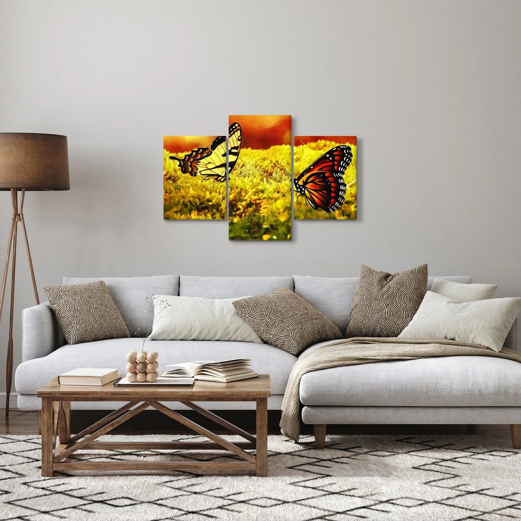 Obraz motýľov (90x60 cm)