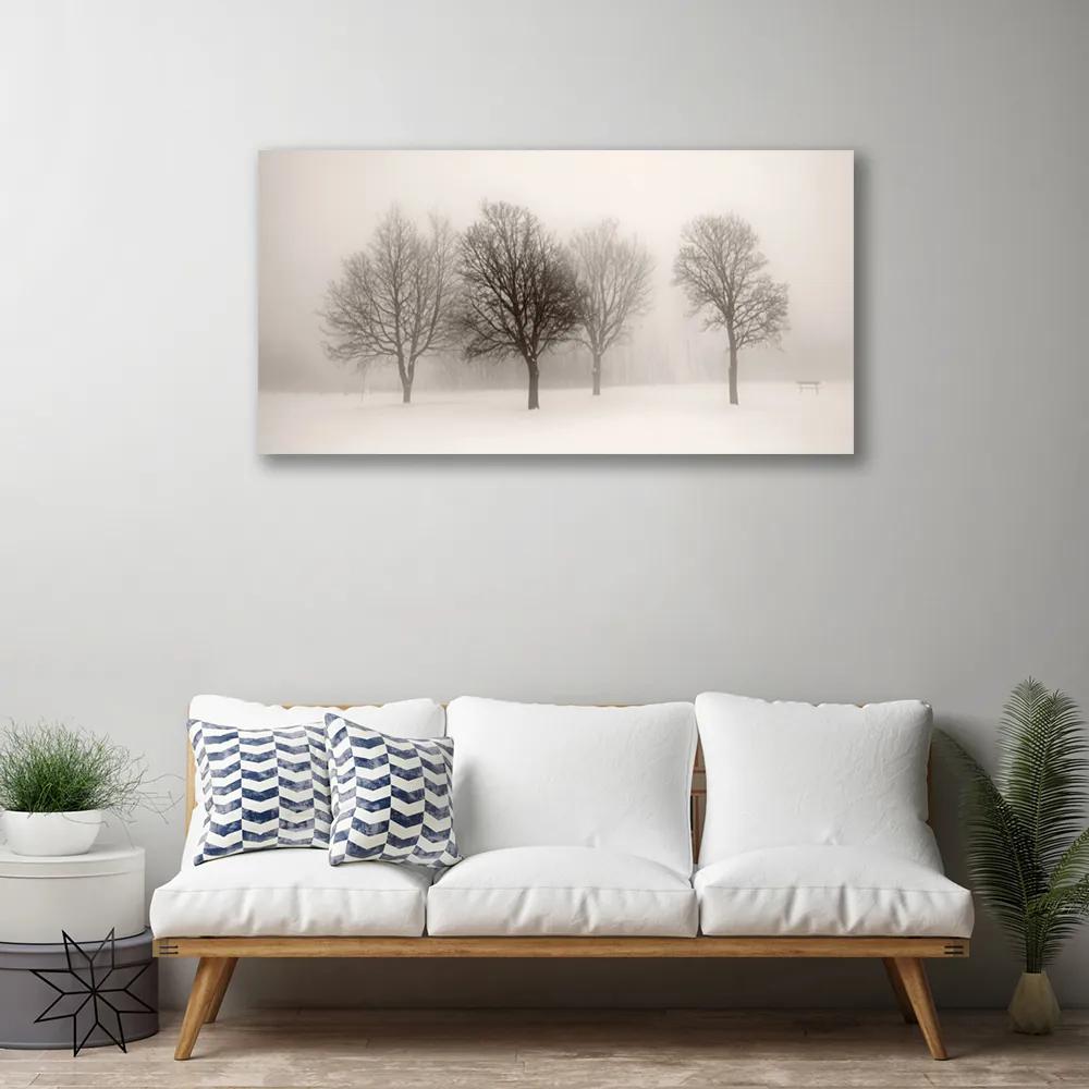 Obraz Canvas Sneh stromy príroda 120x60 cm