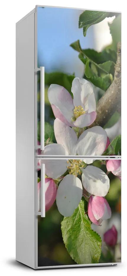 Samolepiace nálepka na chladničku Kvety višne FridgeStick-70x190-f-106222924