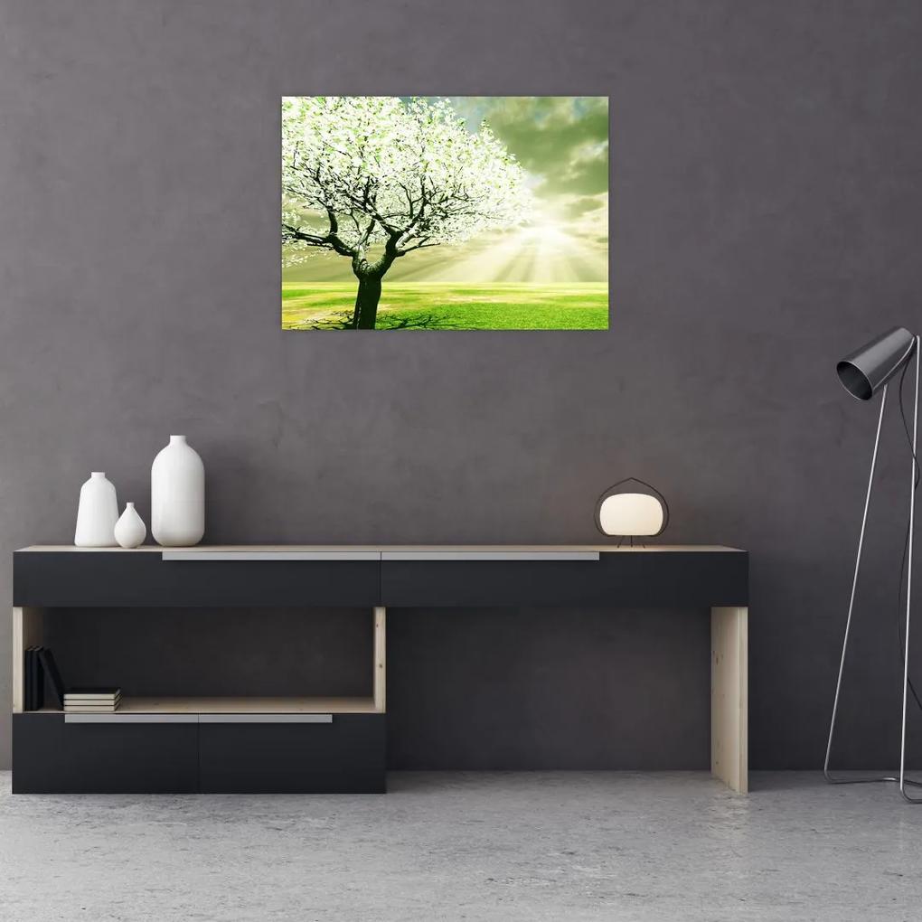 Sklenený obraz kvitnúceho stromu (70x50 cm)