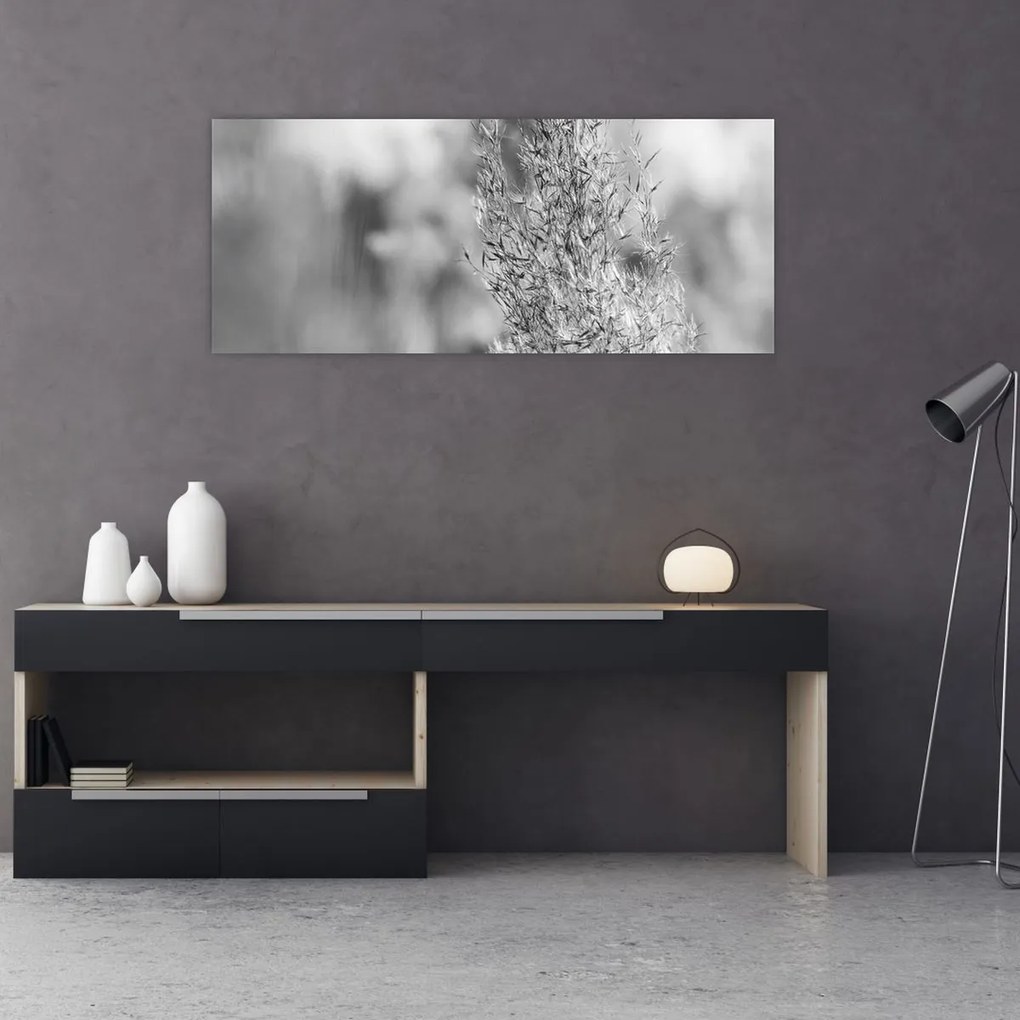 Obraz - Boho pampas grass (120x50 cm)