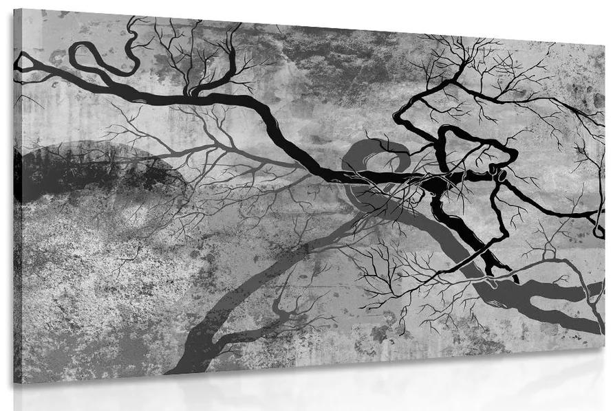 Obraz surrealistické stromy v čiernobielom prevedení Varianta: 60x40