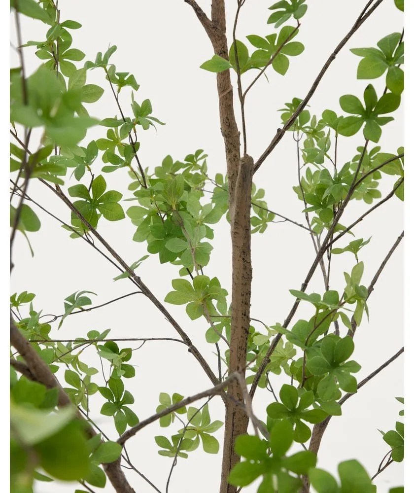 Umelá rastlina (výška 214 cm) Enkianthus – Kave Home