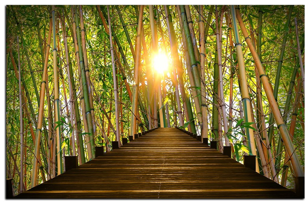 Obraz na plátne - Drevená promenáda v bambusovom lese 1172A (100x70 cm)