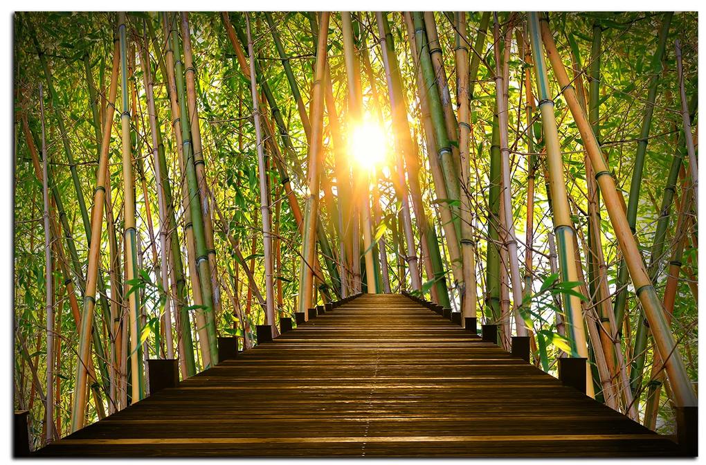 Obraz na plátne - Drevená promenáda v bambusovom lese 1172A (120x80 cm)