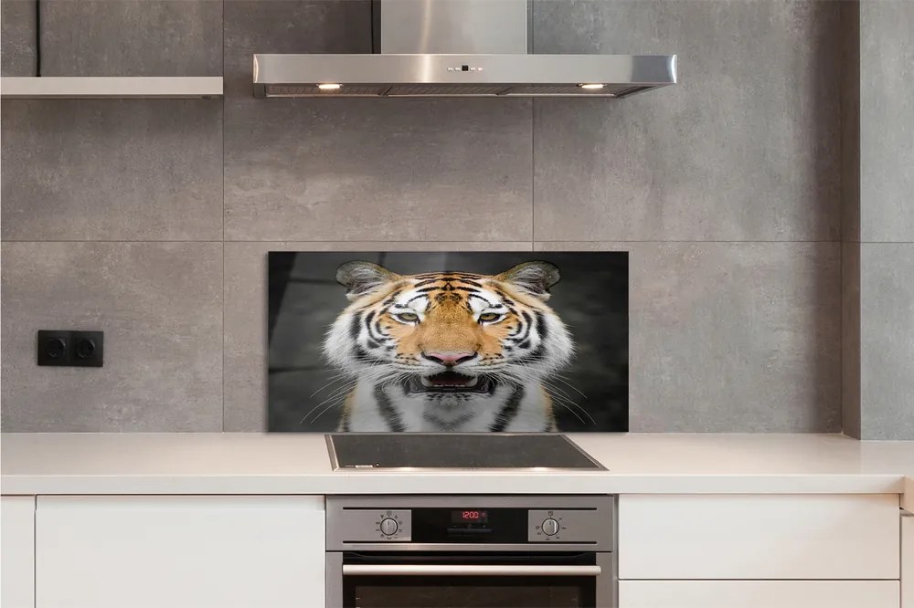 Nástenný panel  tiger 100x50 cm