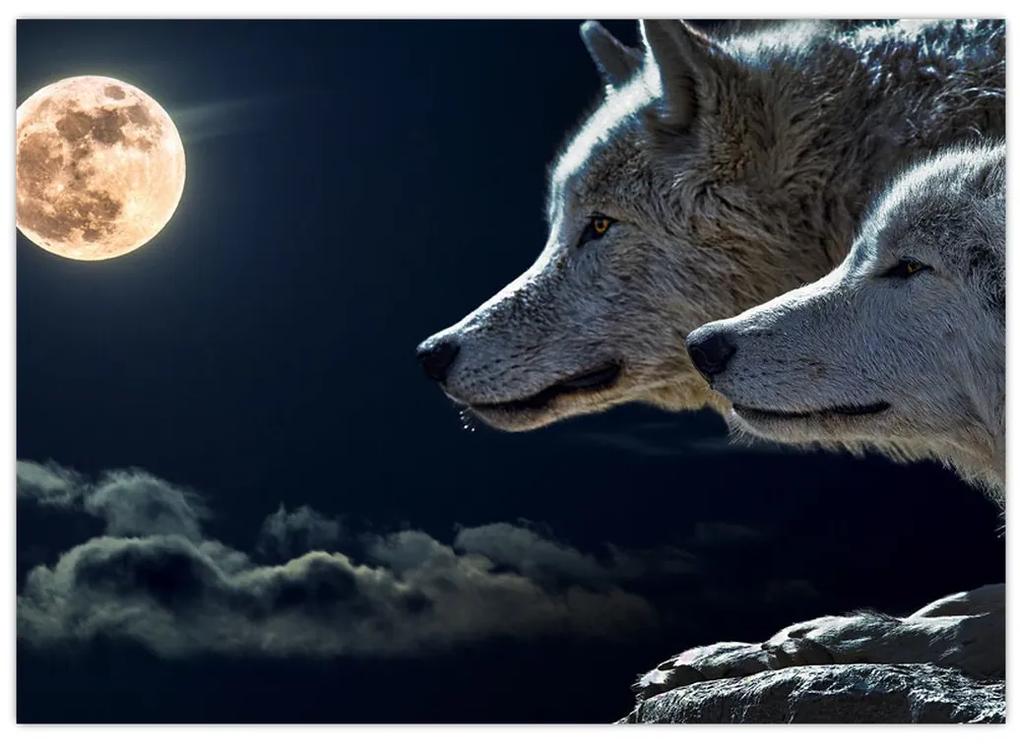 Obraz vlkov vyjúcich na mesiac (70x50 cm)