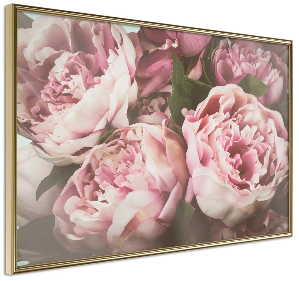 Artgeist Plagát - Pink Peonies [Poster] Veľkosť: 45x30, Verzia: Čierny rám s passe-partout