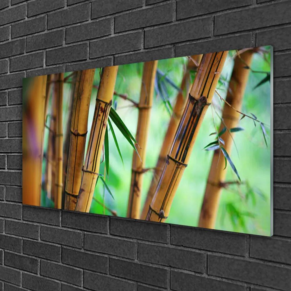 Obraz na skle Bambus príroda rastlina 125x50 cm