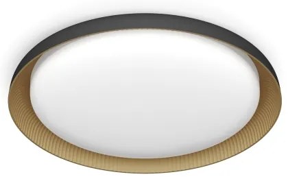 Philips - LED Stmievateľné stropné svietidlo PEBBLO LED/10W/230V 2700K čierna