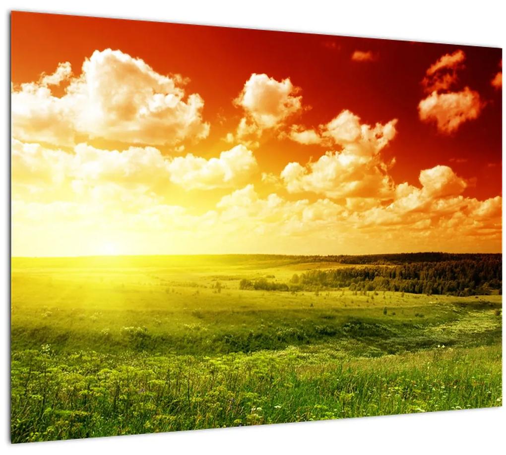 Sklenený obraz lúky so žiariacim slnkom (70x50 cm)