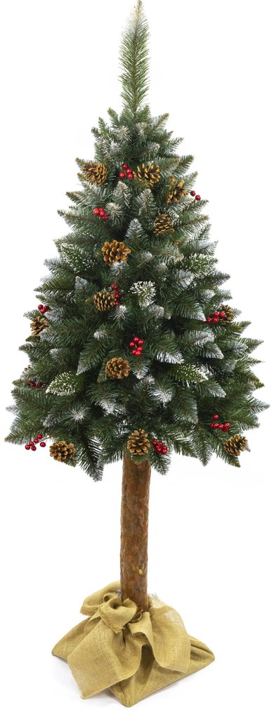 Vianočný stromček Borovica diamantová s jarabinou na pníku 220 cm
