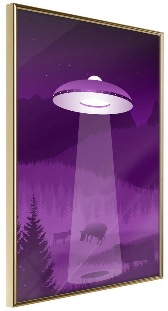 Artgeist Plagát - Ufo [Poster] Veľkosť: 40x60, Verzia: Zlatý rám