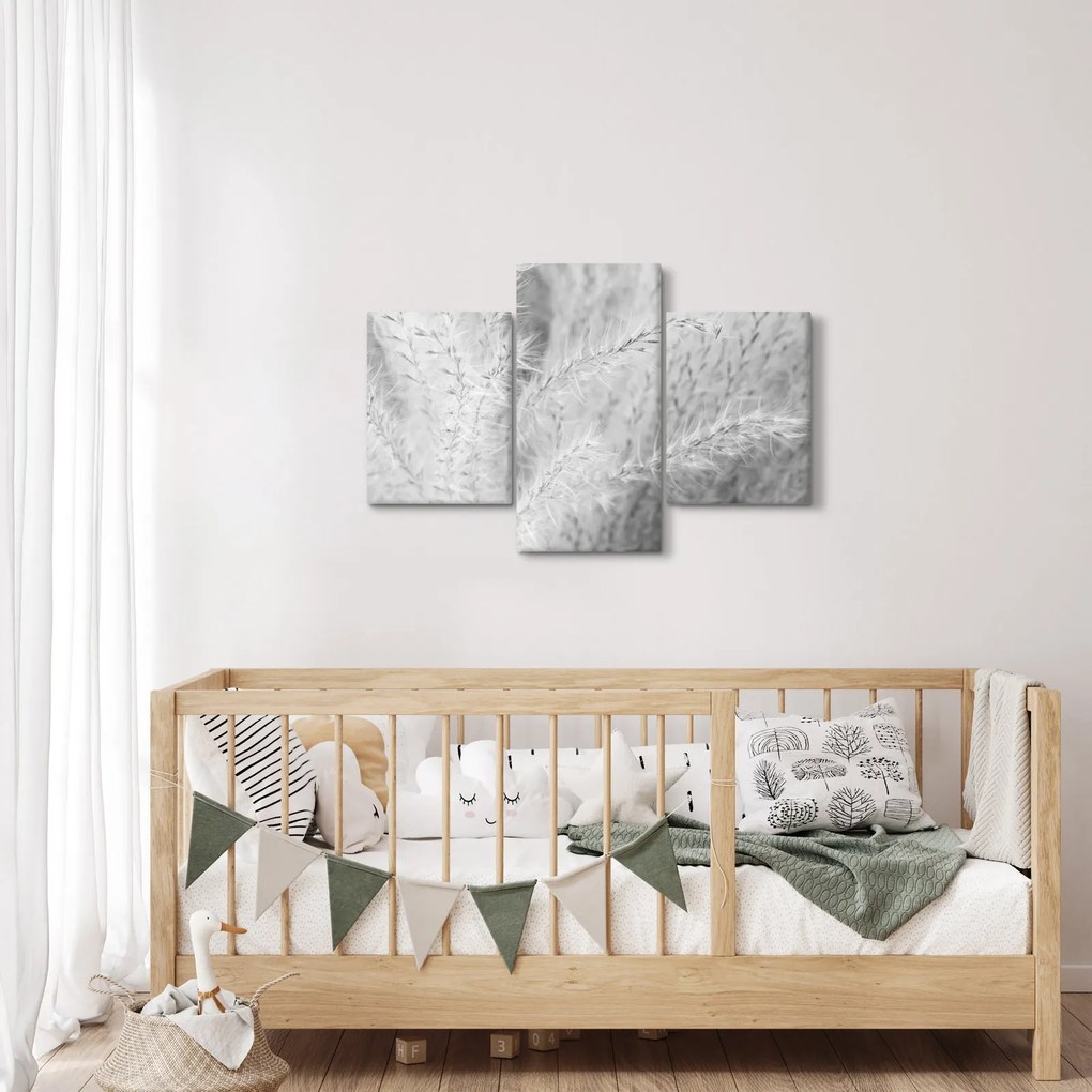 Obraz - Pampas grass N⁰1 (90x60 cm)