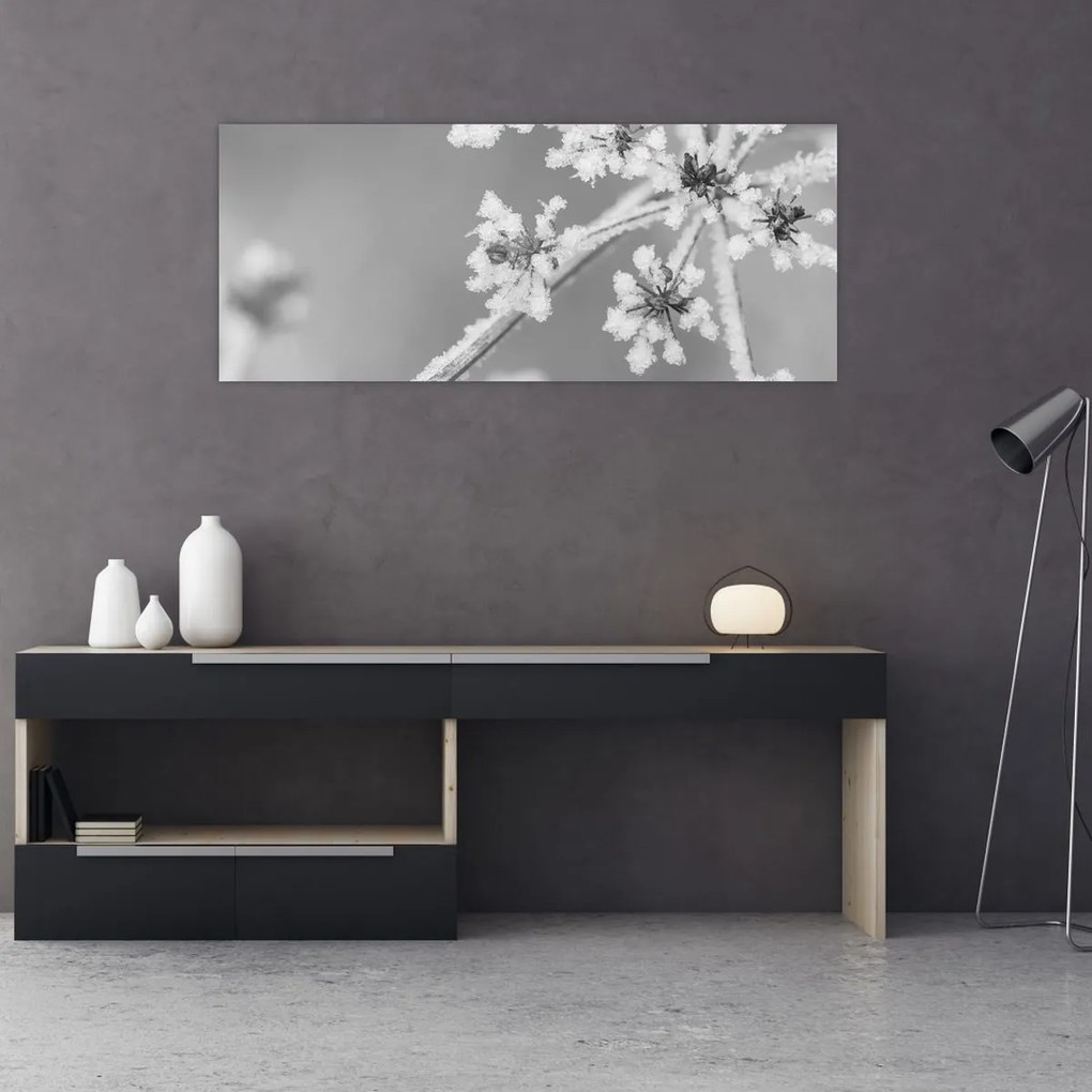 Obraz - Zamrznutá rastlina (120x50 cm)