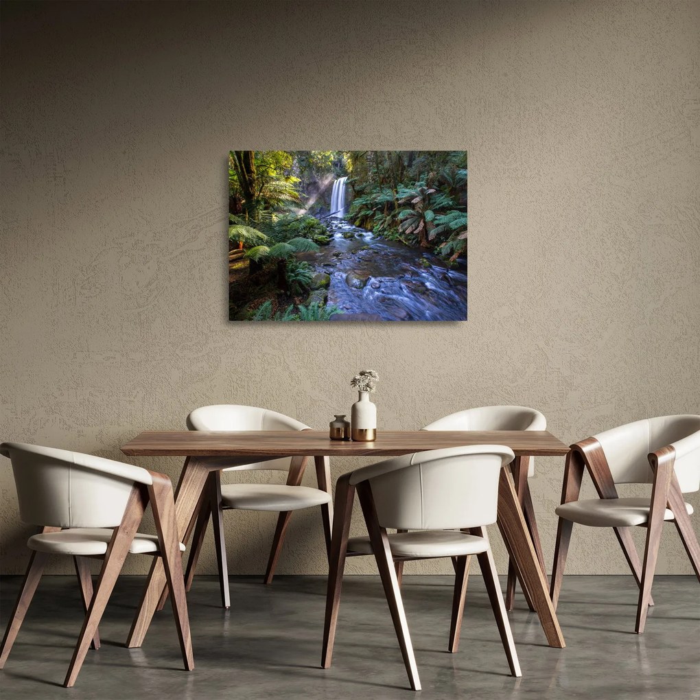 Sklenený obraz australského dažďového lesa (70x50 cm)