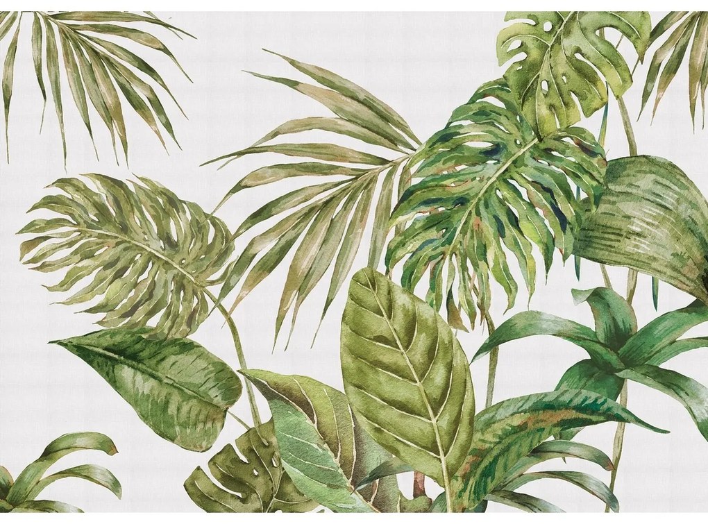 Fototapeta XXL Fern 360 x 254 cm, 4 diely