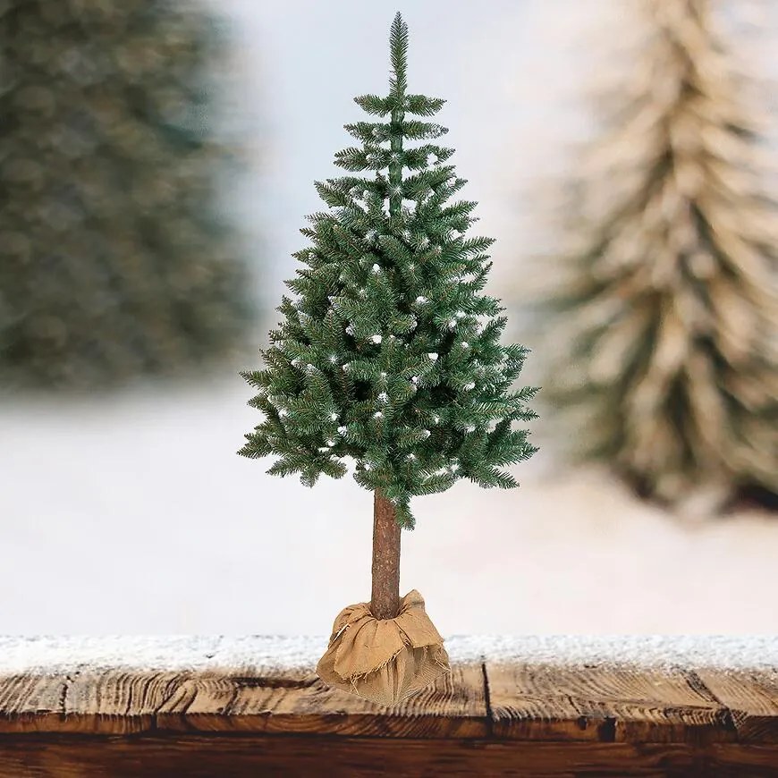 Smrek na kmeni BK 220 cm