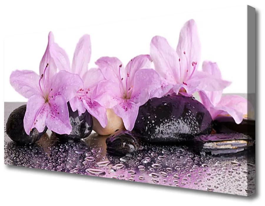 Obraz Canvas Kvety kamene zen kúpele 140x70cm