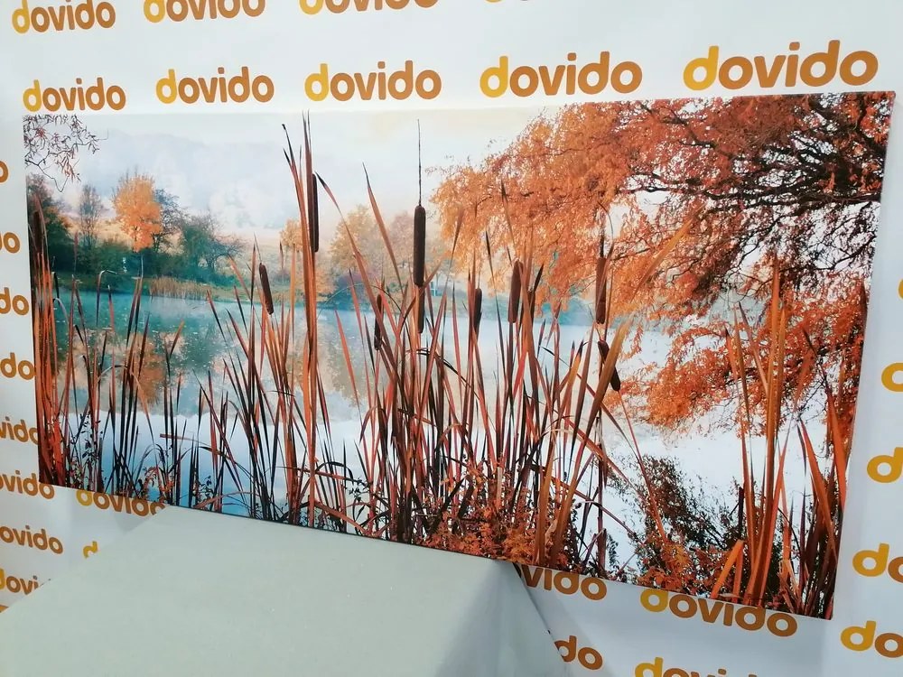 Obraz rieka uprostred jesennej prírody