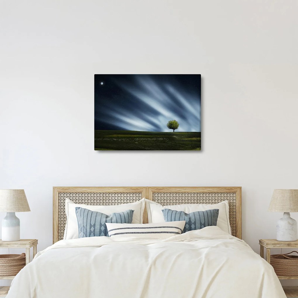 Obraz polárna žiara nad vresoviskom (70x50 cm)