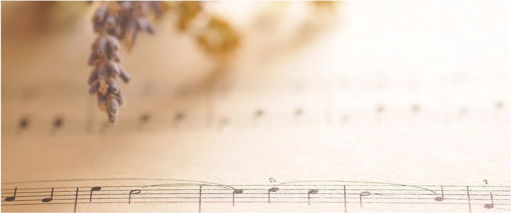 Obraz - Pieseň (120x50 cm)