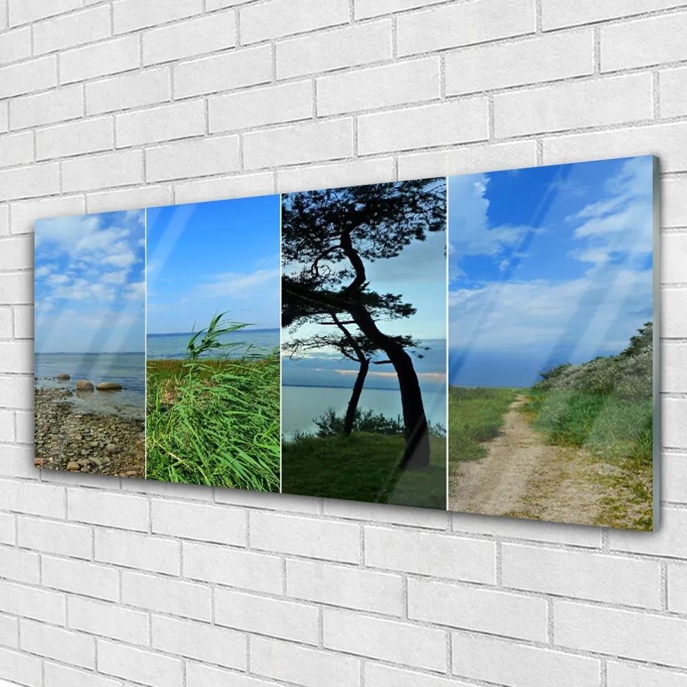 Obraz na akrylátovom skle Pláž strom príroda 125x50 cm