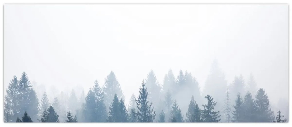 Obraz - Zahmlený les (120x50 cm)