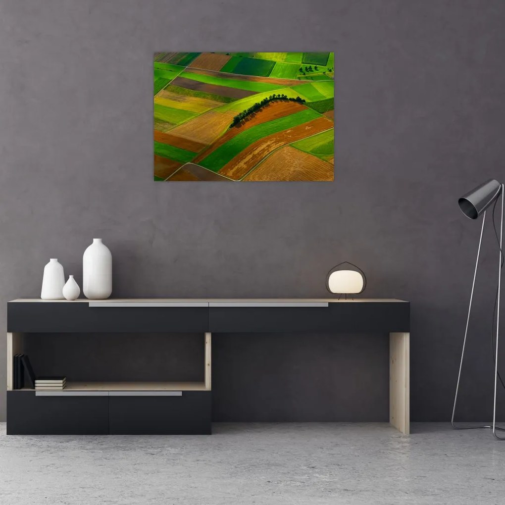 Obraz - Polia, lúky (70x50 cm), 40 ďalších rozmerov