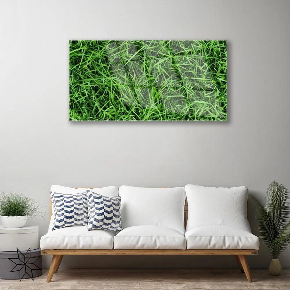 Obraz na akrylátovom skle Tráva trávnik 100x50 cm