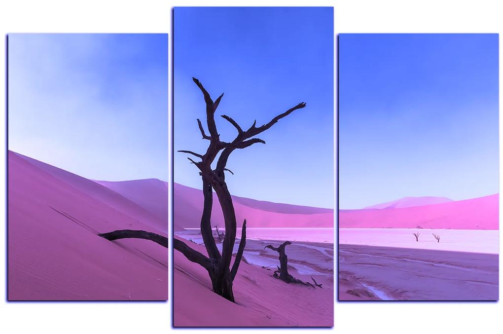 Obraz na plátne - Mŕtvy strom v dunach 1130FC (135x90 cm)