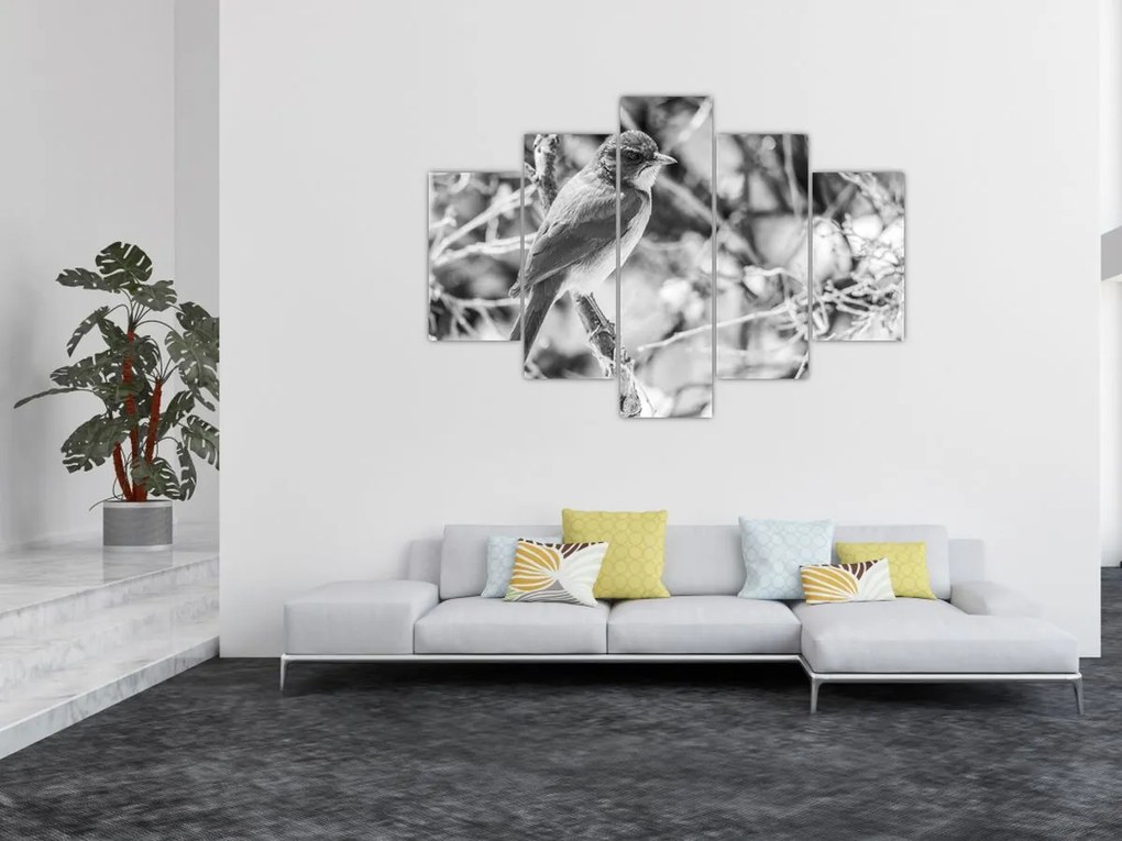 Obraz - Modrý vták v zime (150x105 cm)