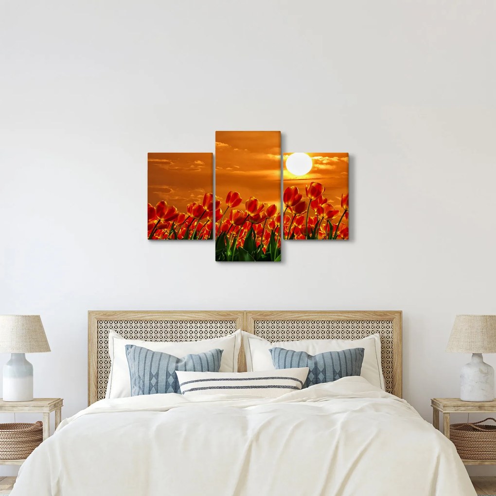 Obraz rozkvitnutého lánu s tulipánmi (90x60 cm)