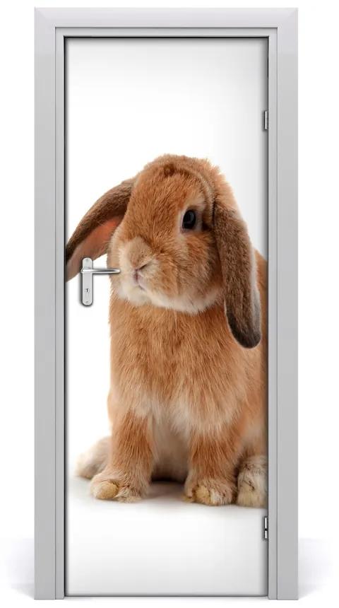 Samolepiace fototapety na dvere králik 85x205 cm