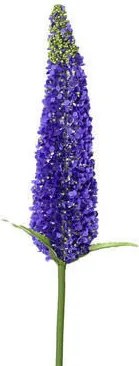 XXXLutz UMELÝ KVET 79 cm - Kvety & kvetináče - 0037540BQ801