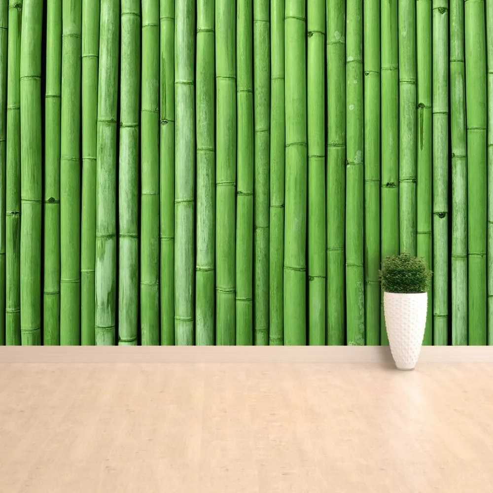 Fototapeta Vliesová Bambusová zelená 312x219 cm