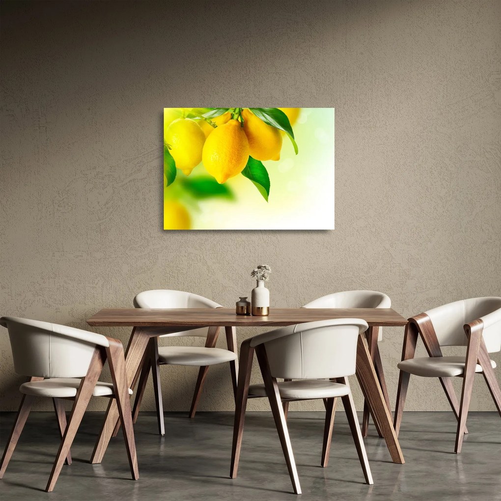 Sklenený obraz citrónov (70x50 cm)