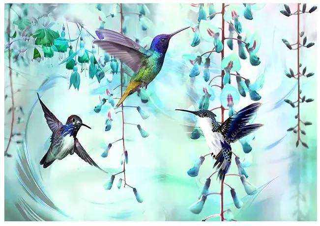 Samolepiaca fototapeta - Flying Hummingbirds (Green) Veľkosť: 147x105, Verzia: Samolepiaca